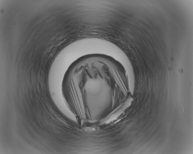 X0000082760566200702240107