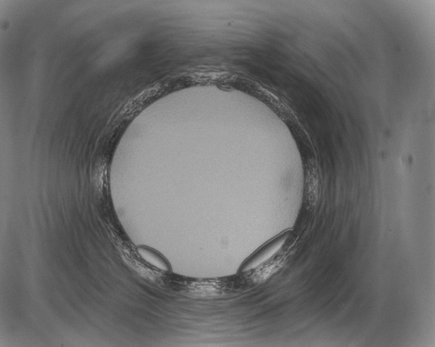 X0000082760574200702240108