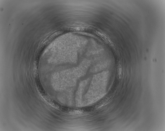 X0000082760594200702240106