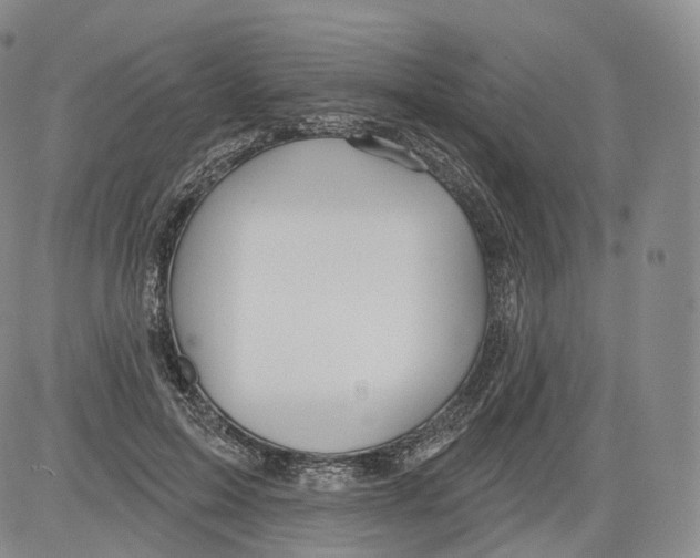 X0000082760599200702240106