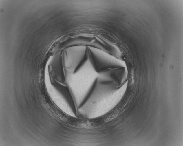 X0000082760600200702240106