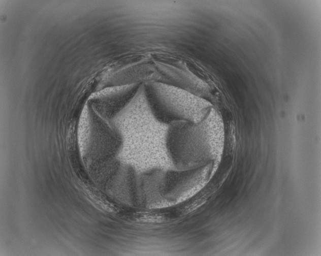 X0000082760601200702240106