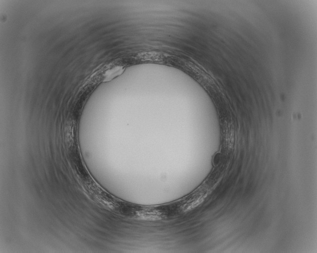 X0000082760603200702240106