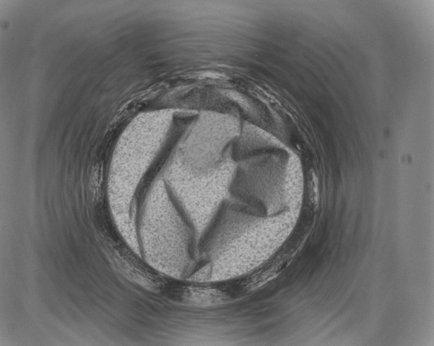 X0000082760605200702240106