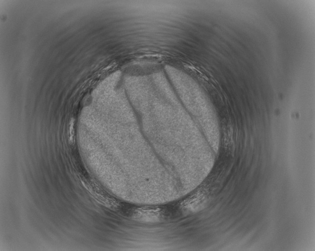 X0000082760606200702240106