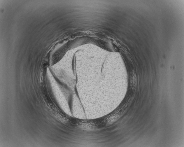 X0000082760608200702240106