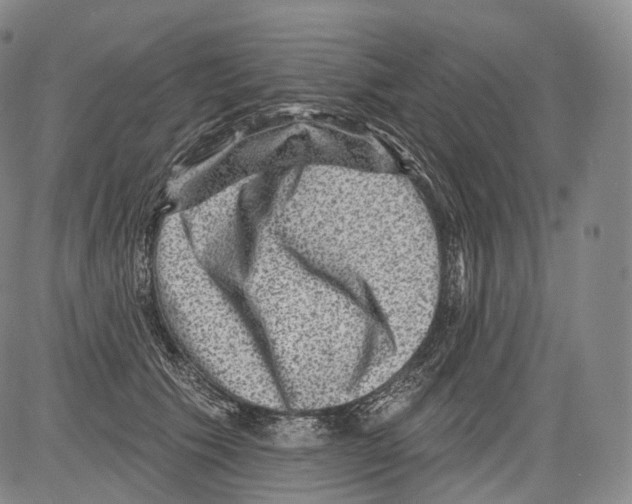 X0000082760609200702240106