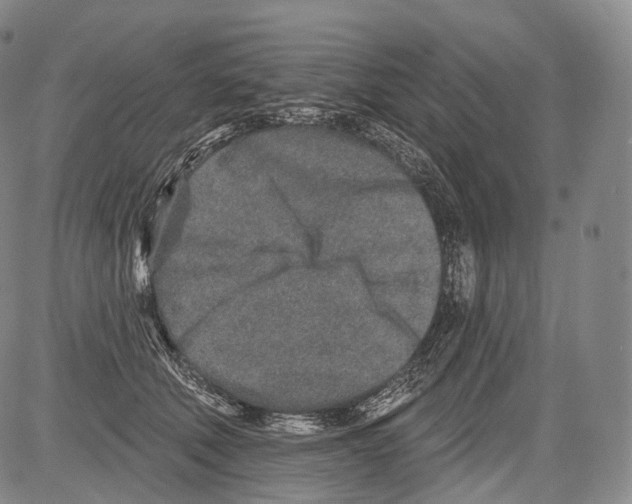 X0000082760610200702240106