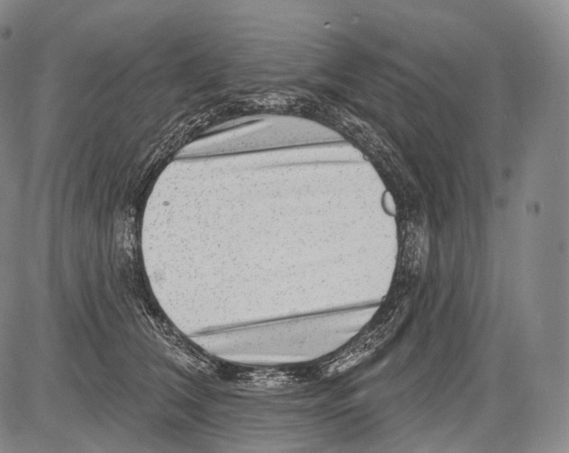 X0000082760612200702240106