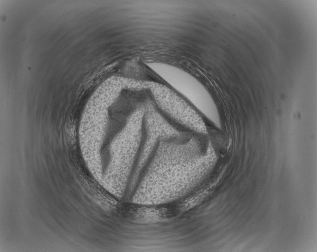 X0000082760613200702240106