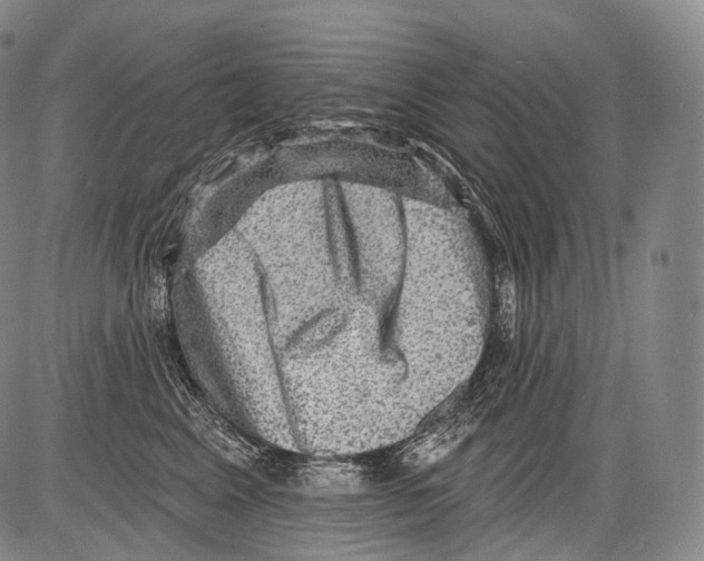 X0000082760617200702240106