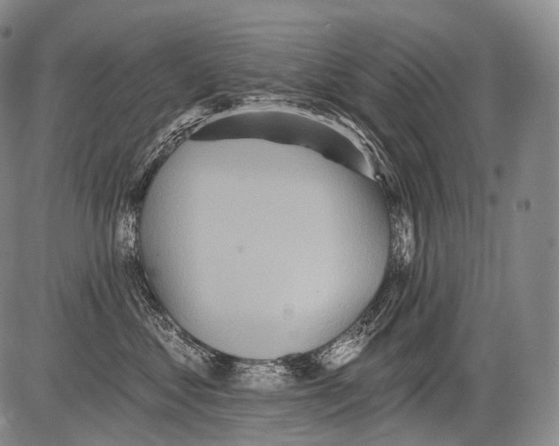 X0000082760621200702240106