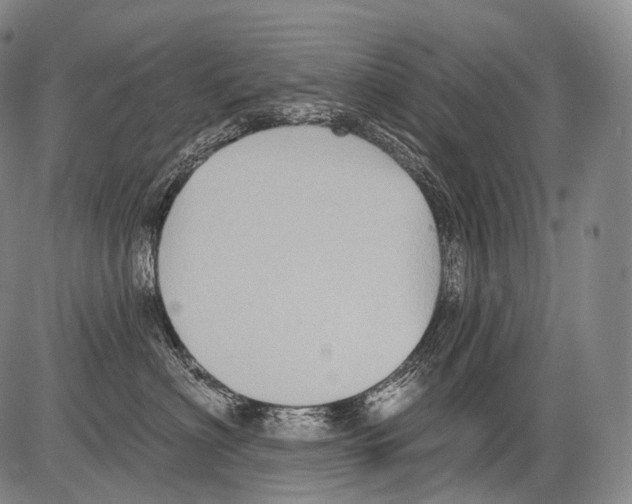 X0000082760622200702240106