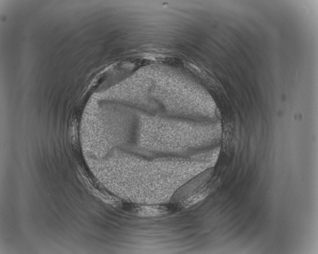 X0000082760623200702240106