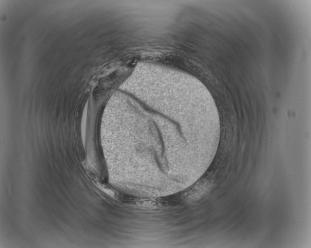 X0000082760624200702240106