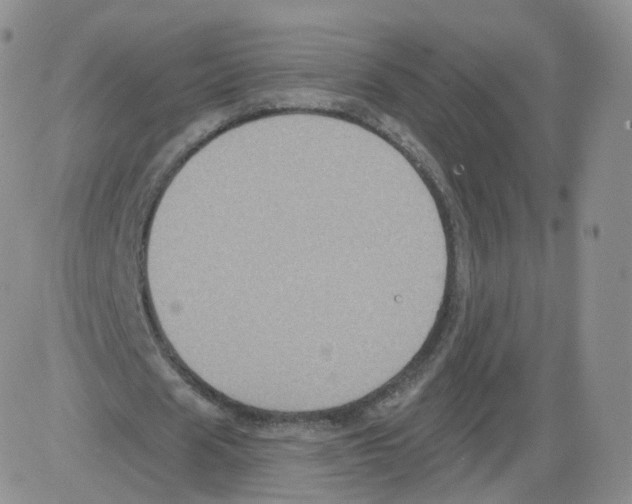 X0000082760625200702240105