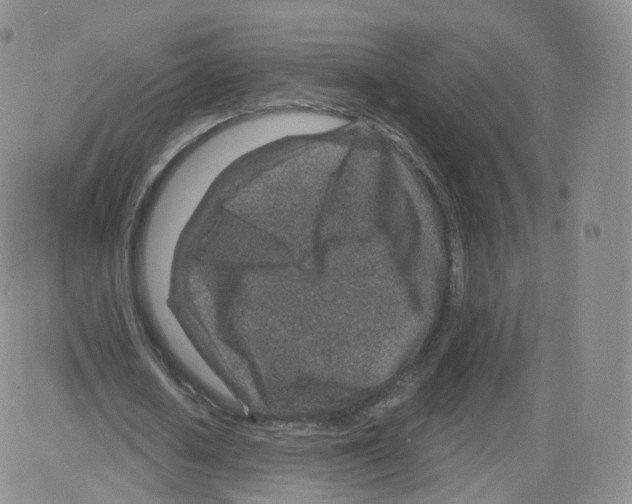 X0000082760626200702240105