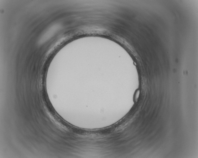 X0000082760629200702240105