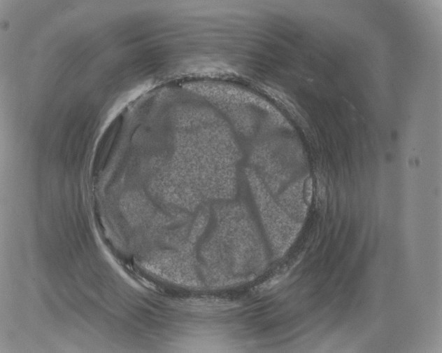 X0000082760630200702240105