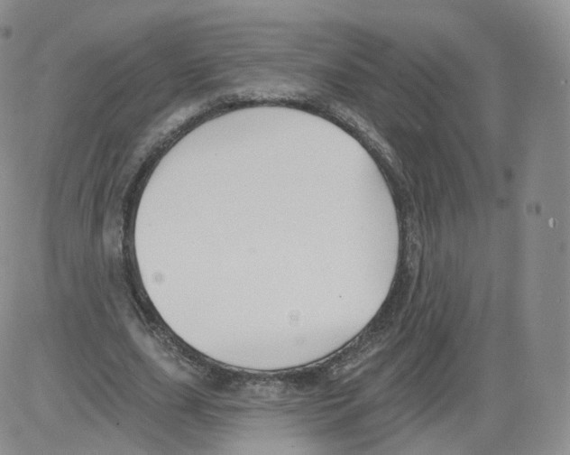 X0000082760631200702240105