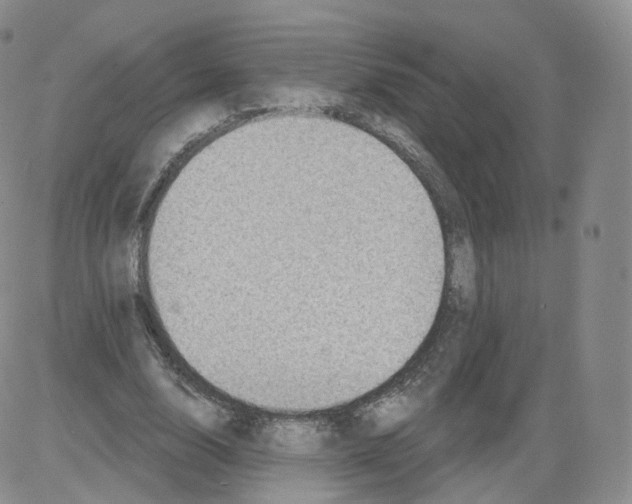 X0000082760632200702240105