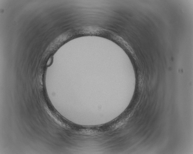 X0000082760633200702240105