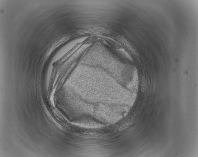 X0000082760634200702240105