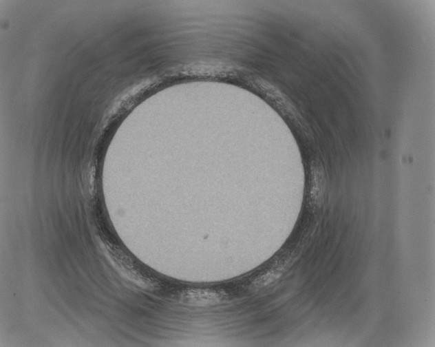 X0000082760636200702240105