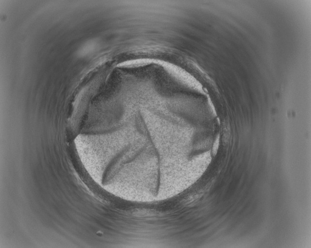 X0000082760637200702240105