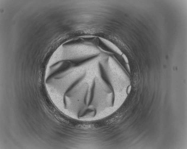 X0000082760639200702240105