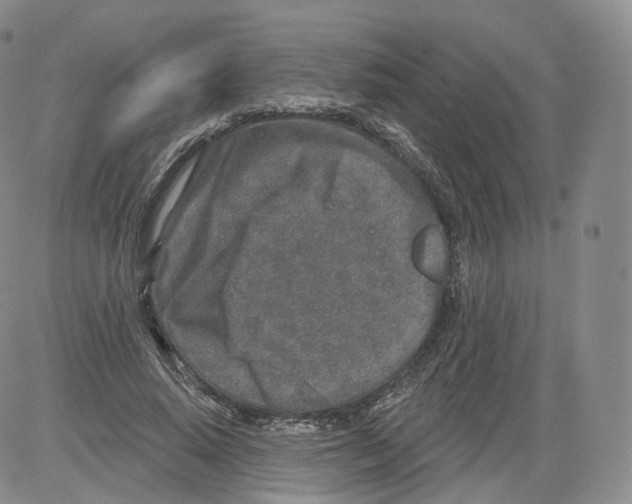 X0000082760640200702240105