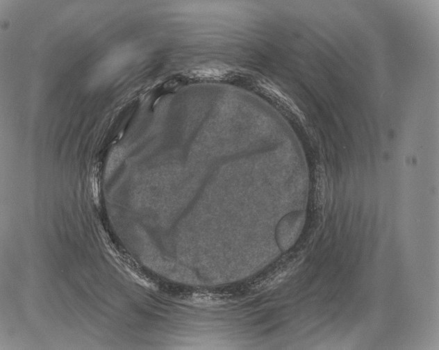 X0000082760641200702240105