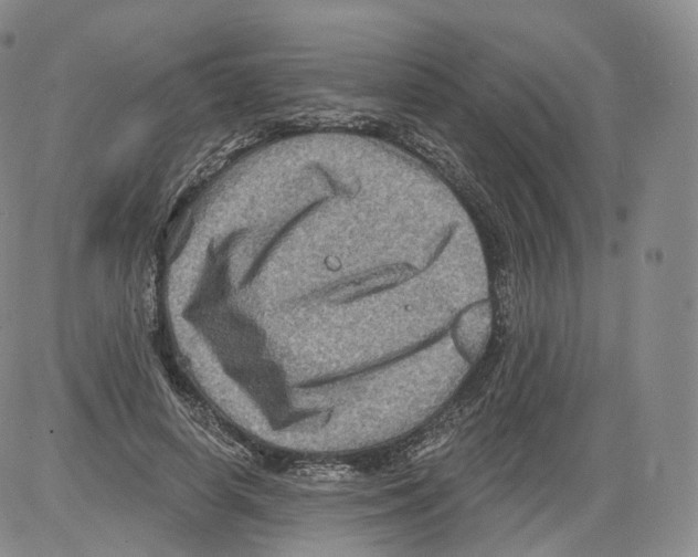 X0000082760642200702240105