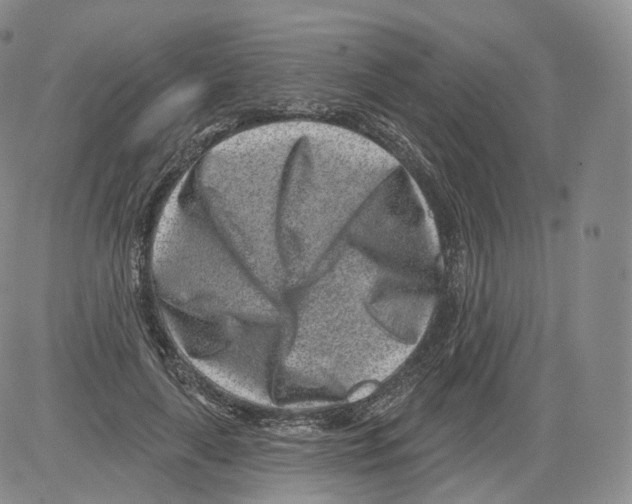 X0000082760643200702240105