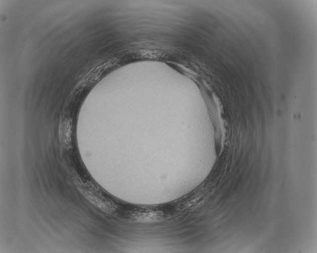 X0000082760646200702240106