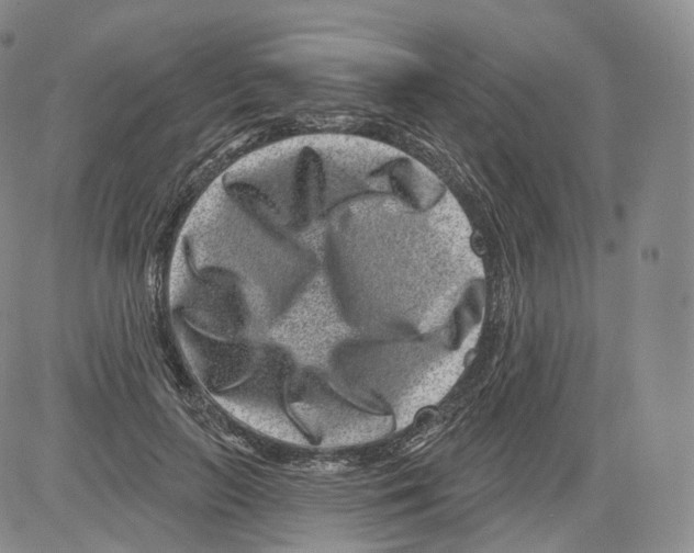 X0000082760647200702240106