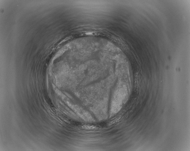 X0000082760650200702240106