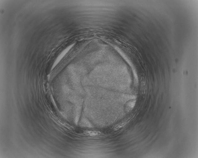 X0000082760654200702240106