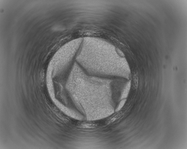 X0000082760657200702240106