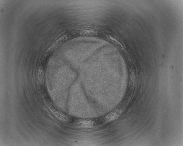 X0000082760659200702240106