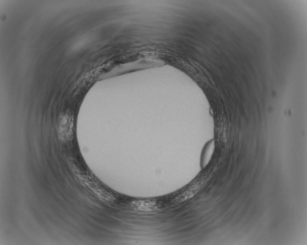 X0000082760660200702240106