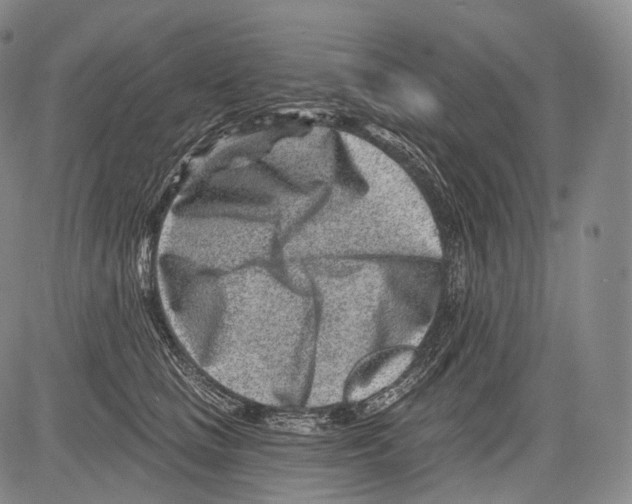 X0000082760661200702240106