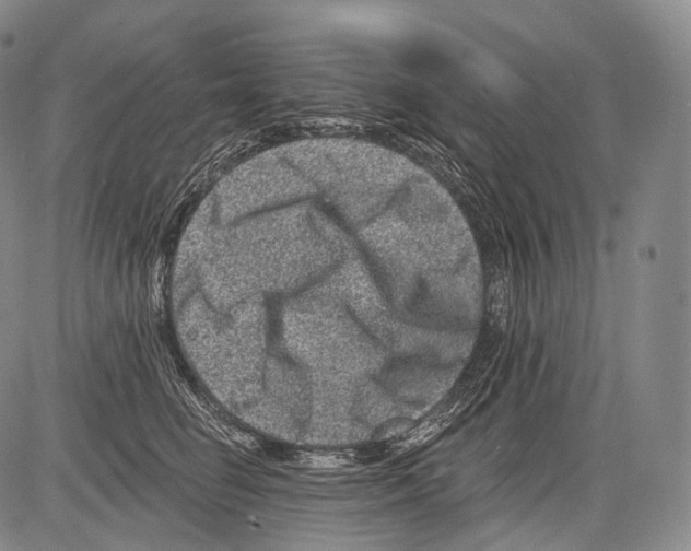 X0000082760662200702240106