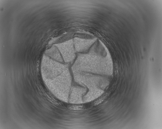 X0000082760664200702240106