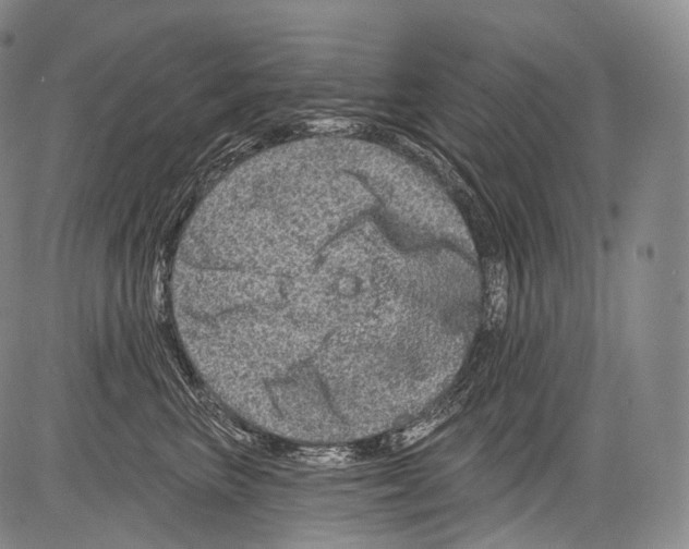 X0000082760667200702240106