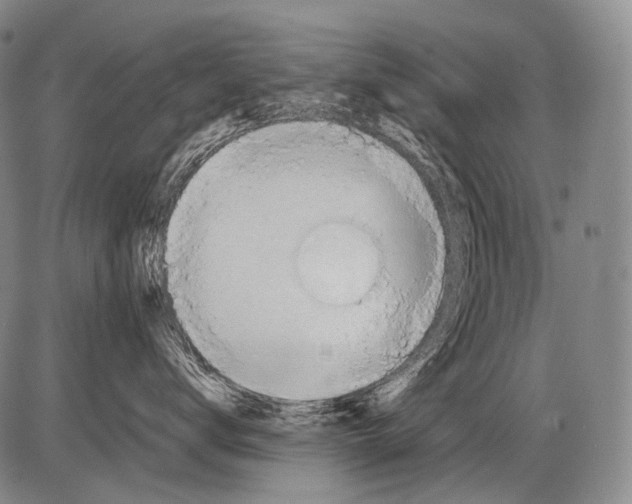 X0000082760672200702240106