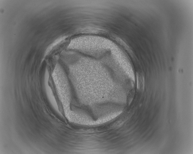 X0000082760675200702240105