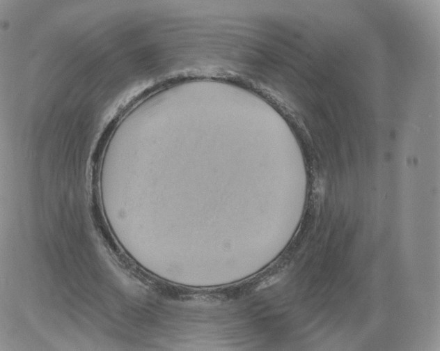 X0000082760678200702240105