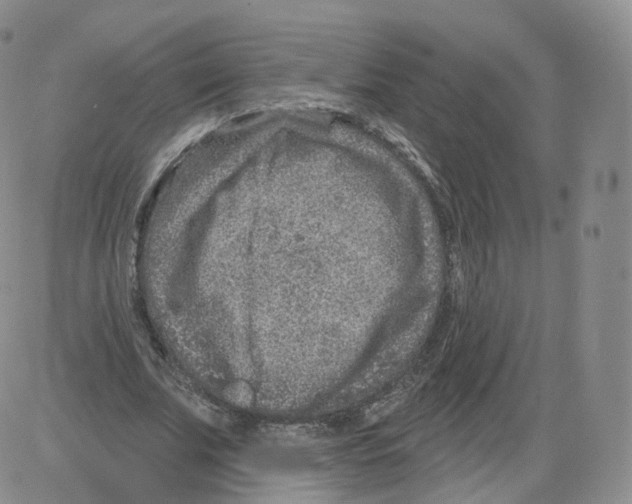 X0000082760679200702240105