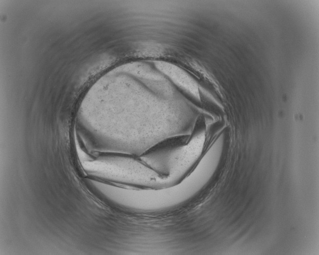 X0000082760681200702240105